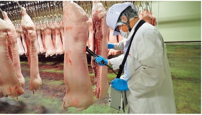 食肉脂質測定装置で豚肉の脂肪酸を測定する格付員