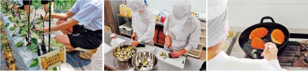 都立園芸高等学校食品科3 年加工コースの授業例 1 年生の授業で栽培したナスを使ってカレーパンを作る「種まき」から「ごちそうさま」までの実習