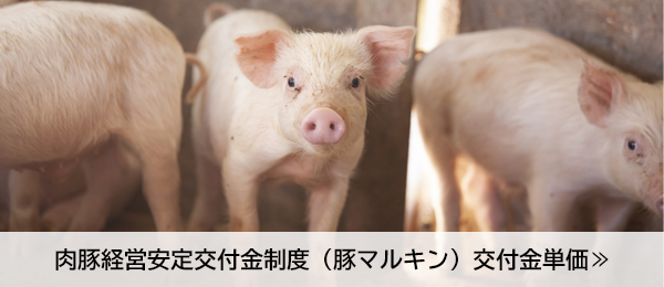 肉豚経営安定交付金制度（豚マルキン）交付金単価
