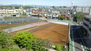 貸借した農地の様子
