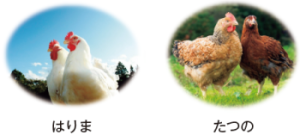 画像提供:NLBC