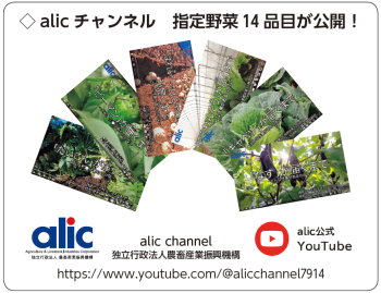 alic`l@w14iڂJI alic channel Ɨs@l_{YƐU@\