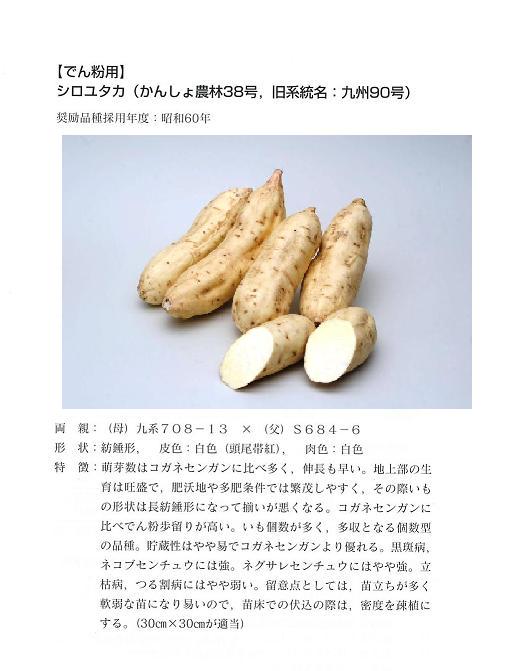 出典:「さつまいも小辞典」