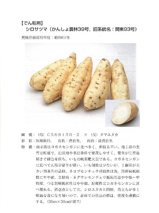 出典:「さつまいも小辞典」