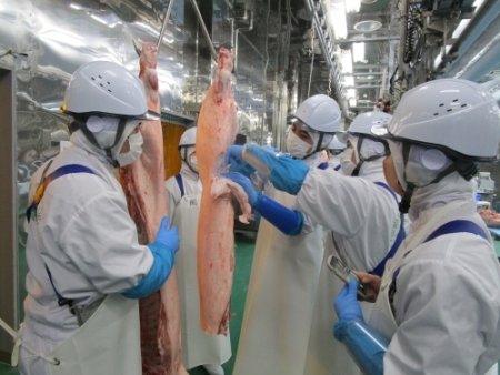 <枝肉処理技術実習の様子1>(写真提供:公益社団法人全国食肉学校)
