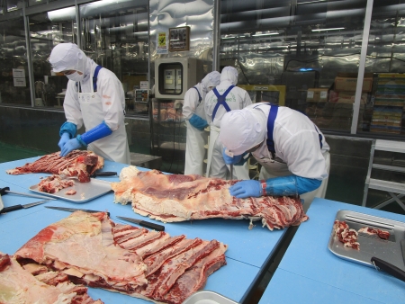 <枝肉処理技術実習の様子2>(写真提供:公益社団法人全国食肉学校)