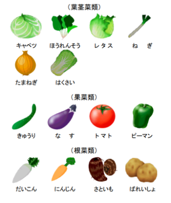 <図1 指定野菜14品目>