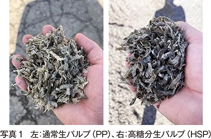 てん菜を飼料に～輪作体系維持に向けた次世代型の耕畜連携～｜農