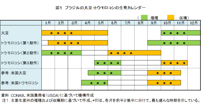 �}1�@�u���W���̑哤�E�g�E�����R�V�̐���J�����_�[