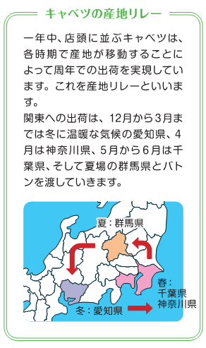 �Y�n�����[