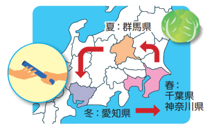 �Y�n�����[