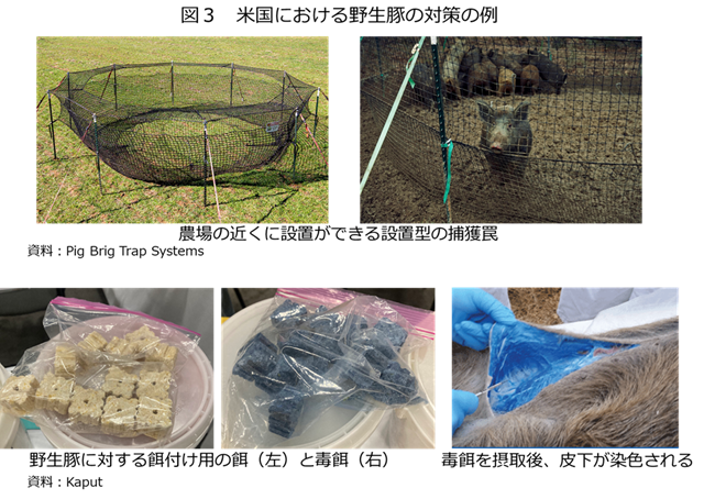 �}3�@�č��ɂ�����쐶�؂̑΍�̗�