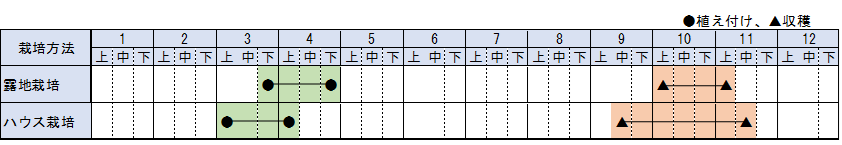 山東省のしょうが栽培暦