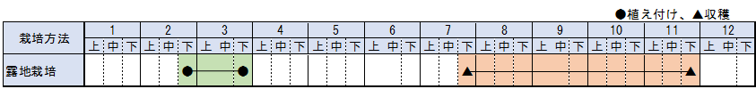 雲南省のしょうが栽培暦