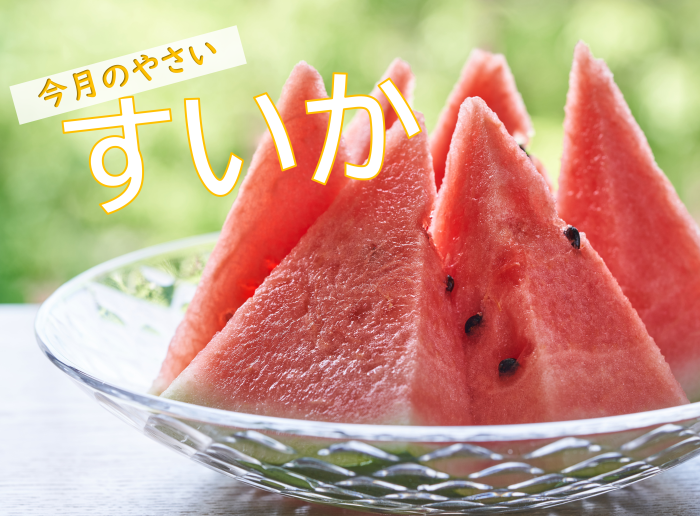 �J�b�g�����������̎ʐ^