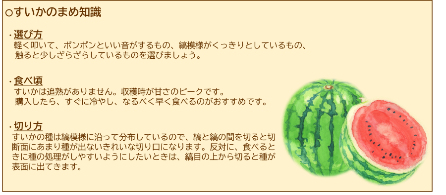 すいかのまめ知識