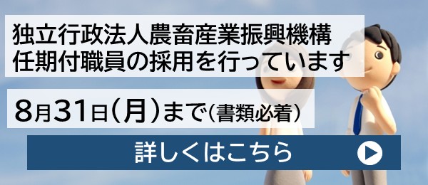 �ߘa8�N�x�C���t�E���̗̍p�ɂ���