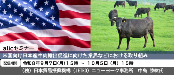 JETRONYalic�Z�~�i�[�X���C�_�[